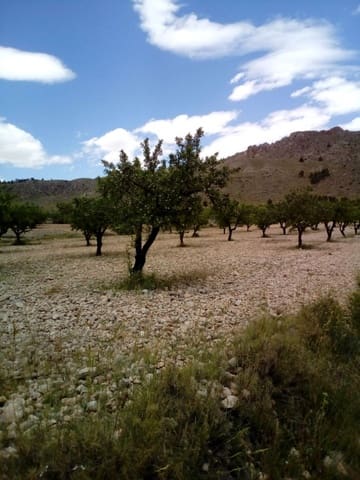 Mark till salu i Yecla - 15 600 € (Ref: 7512229)