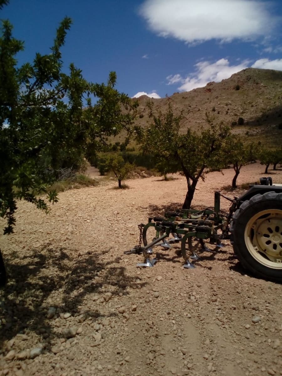 Mark till salu i Yecla - 15 600 € (Ref: 7512229)