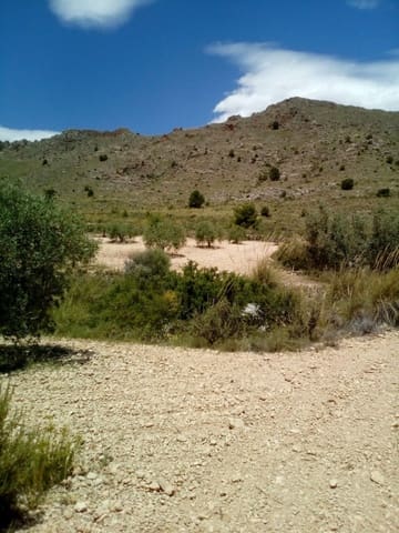 Mark till salu i Yecla - 15 600 € (Ref: 7512229)