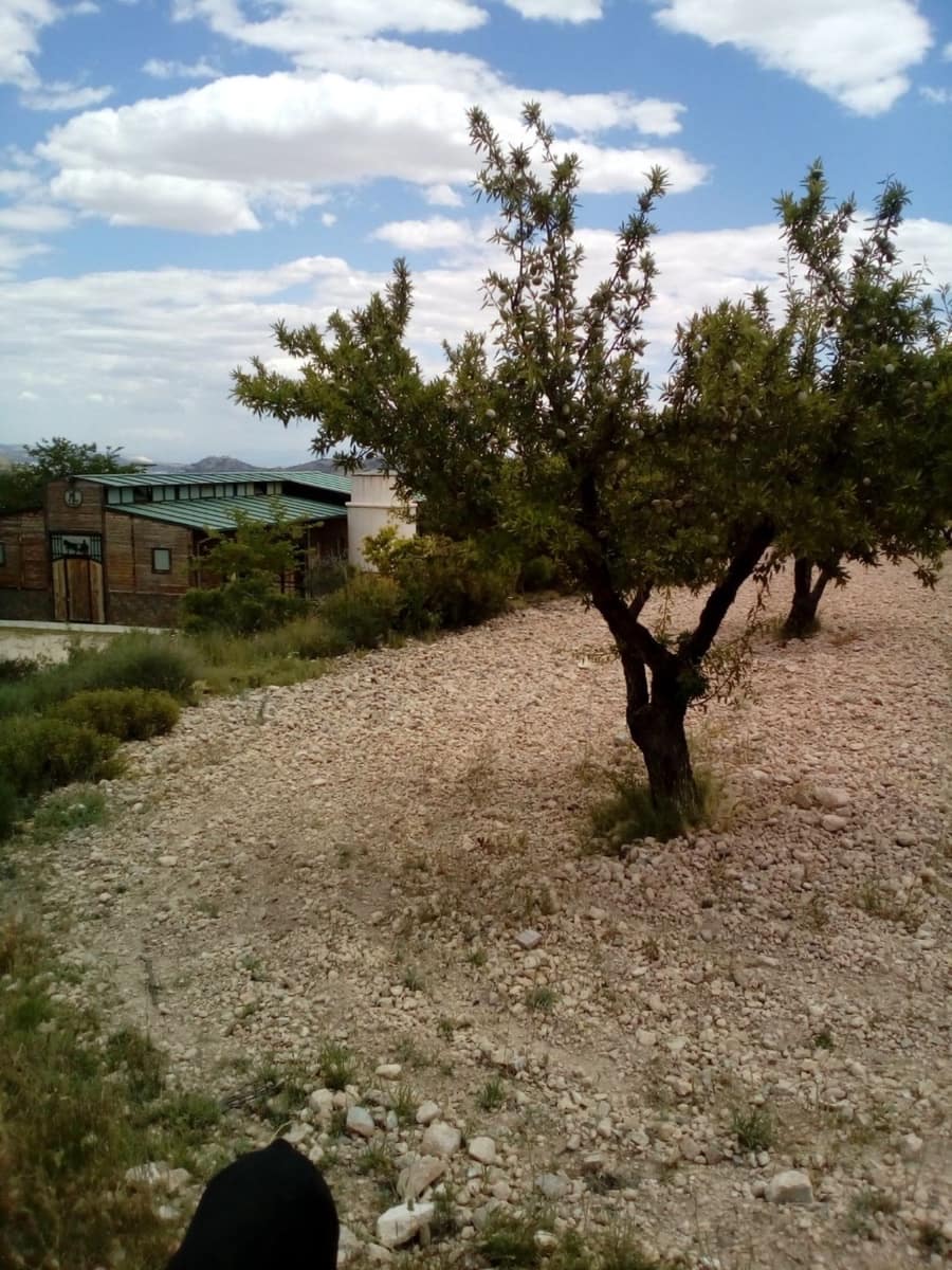 Mark till salu i Yecla - 15 600 € (Ref: 7512229)