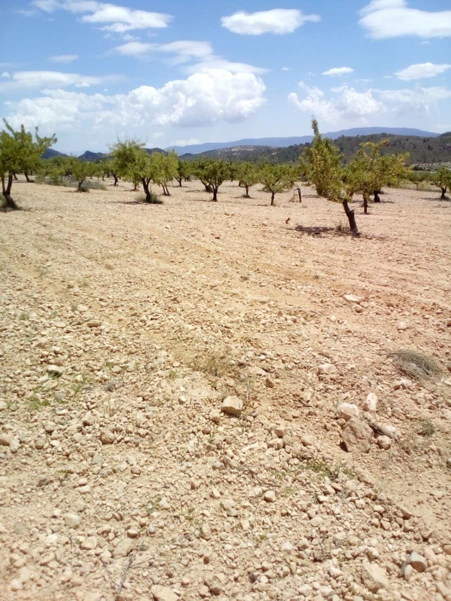 Mark till salu i Yecla - 15 600 € (Ref: 7512229)