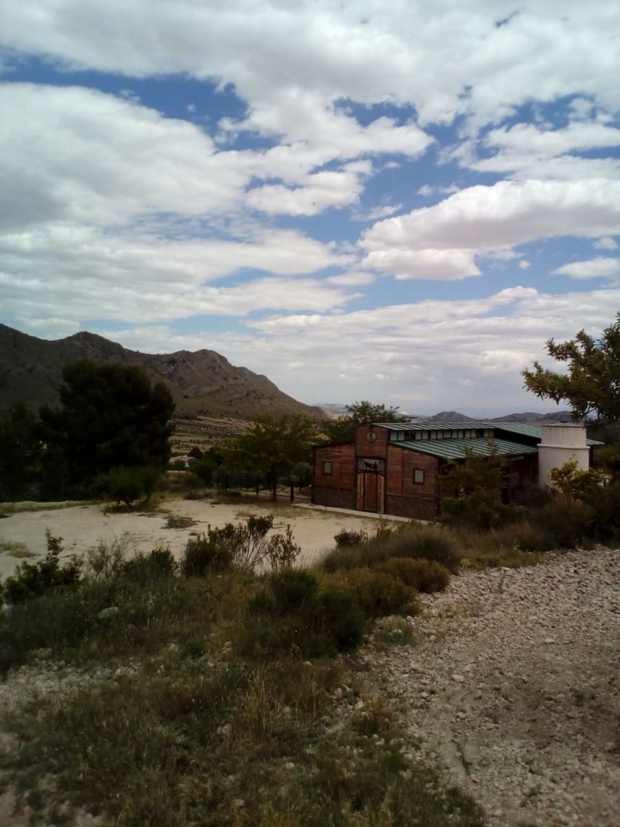 Mark till salu i Yecla - 15 600 € (Ref: 7512229)