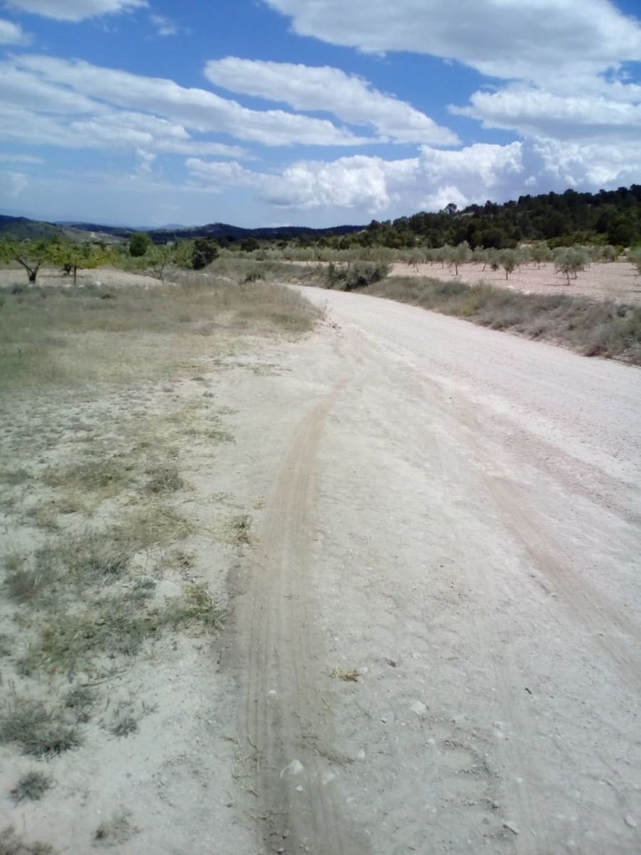 Mark till salu i Yecla - 15 600 € (Ref: 7512229)