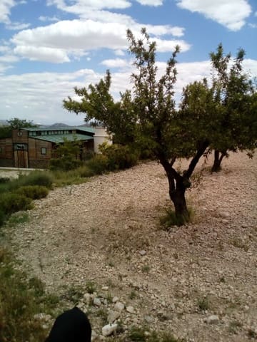 Mark till salu i Yecla - 15 600 € (Ref: 7512229)