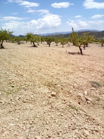 Mark till salu i Yecla - 15 600 € (Ref: 7512229)