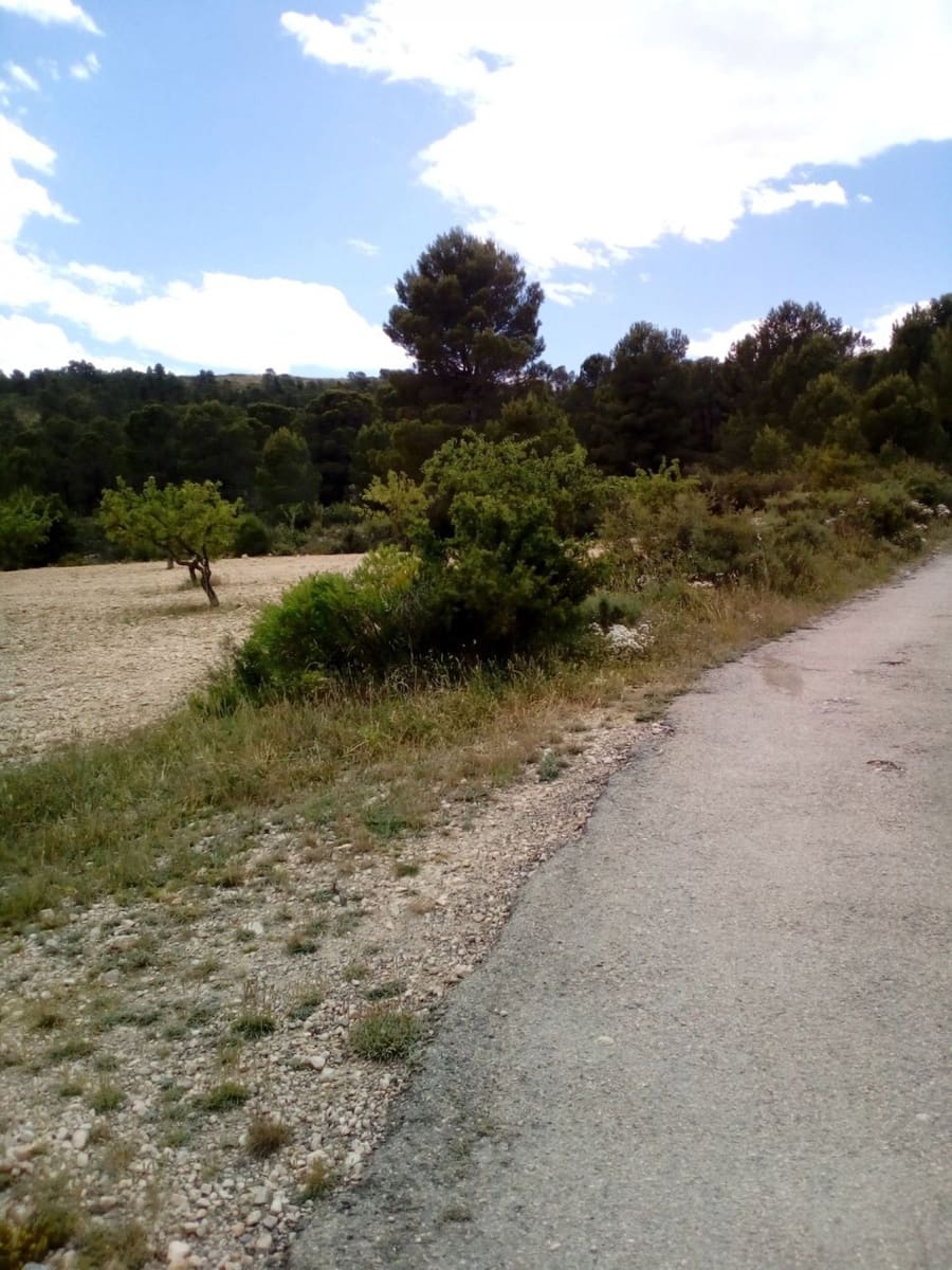 Mark till salu i Yecla - 15 600 € (Ref: 7512229)