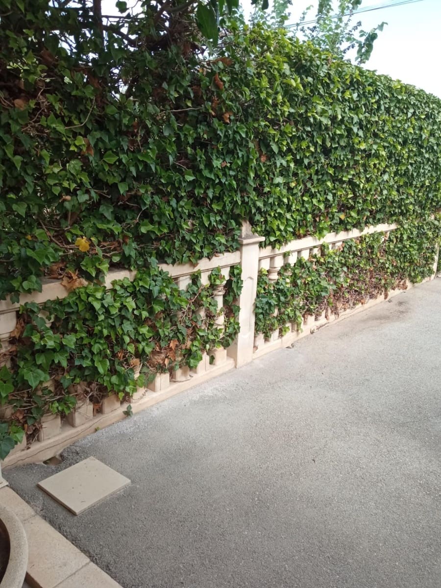 4 bedroom Villa for sale in Muchamiel / Mutxamel with pool garage - € 444,900 (Ref: 7735258)