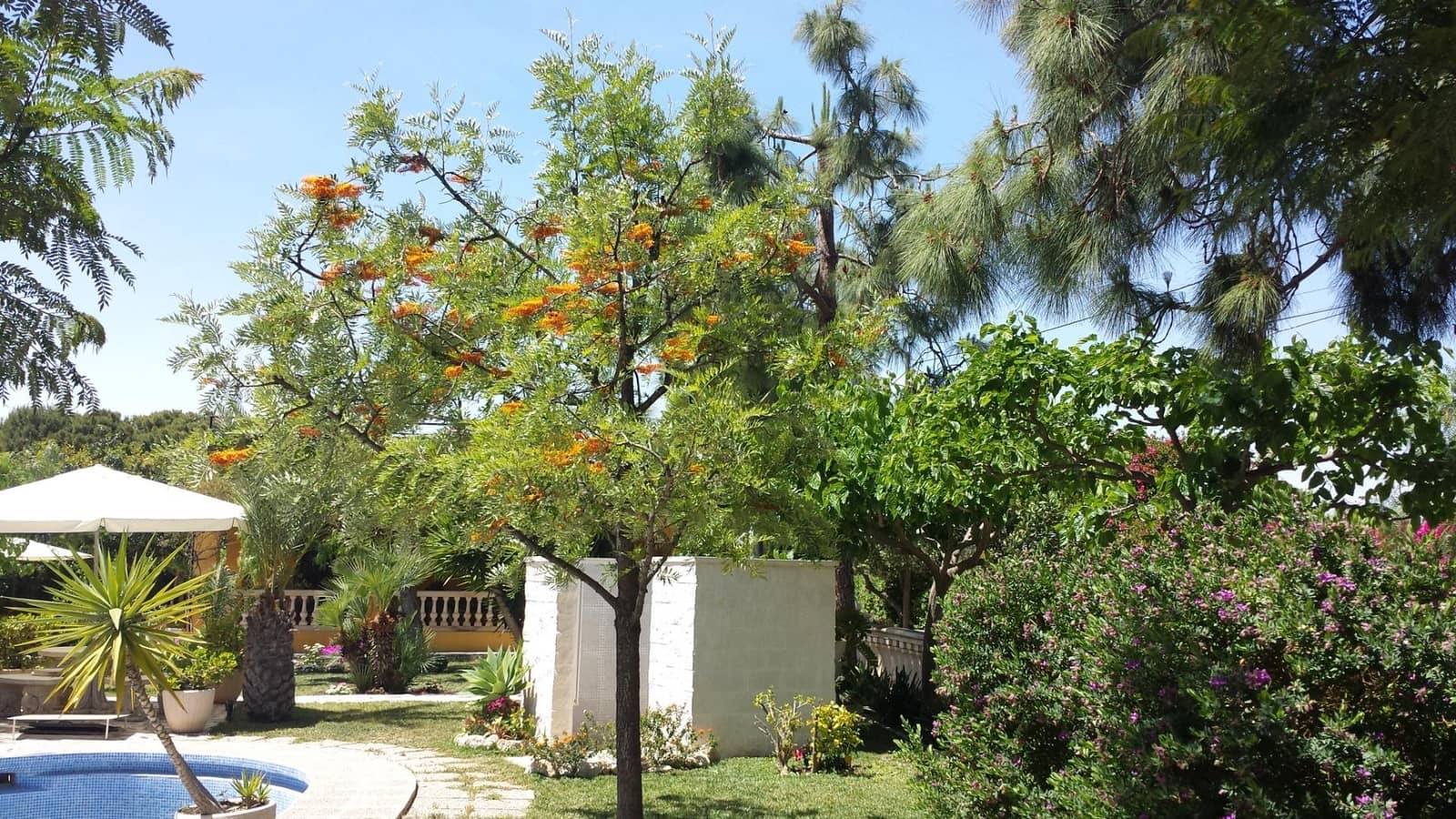 4 bedroom Villa for sale in Muchamiel / Mutxamel with pool garage - € 444,900 (Ref: 7735258)