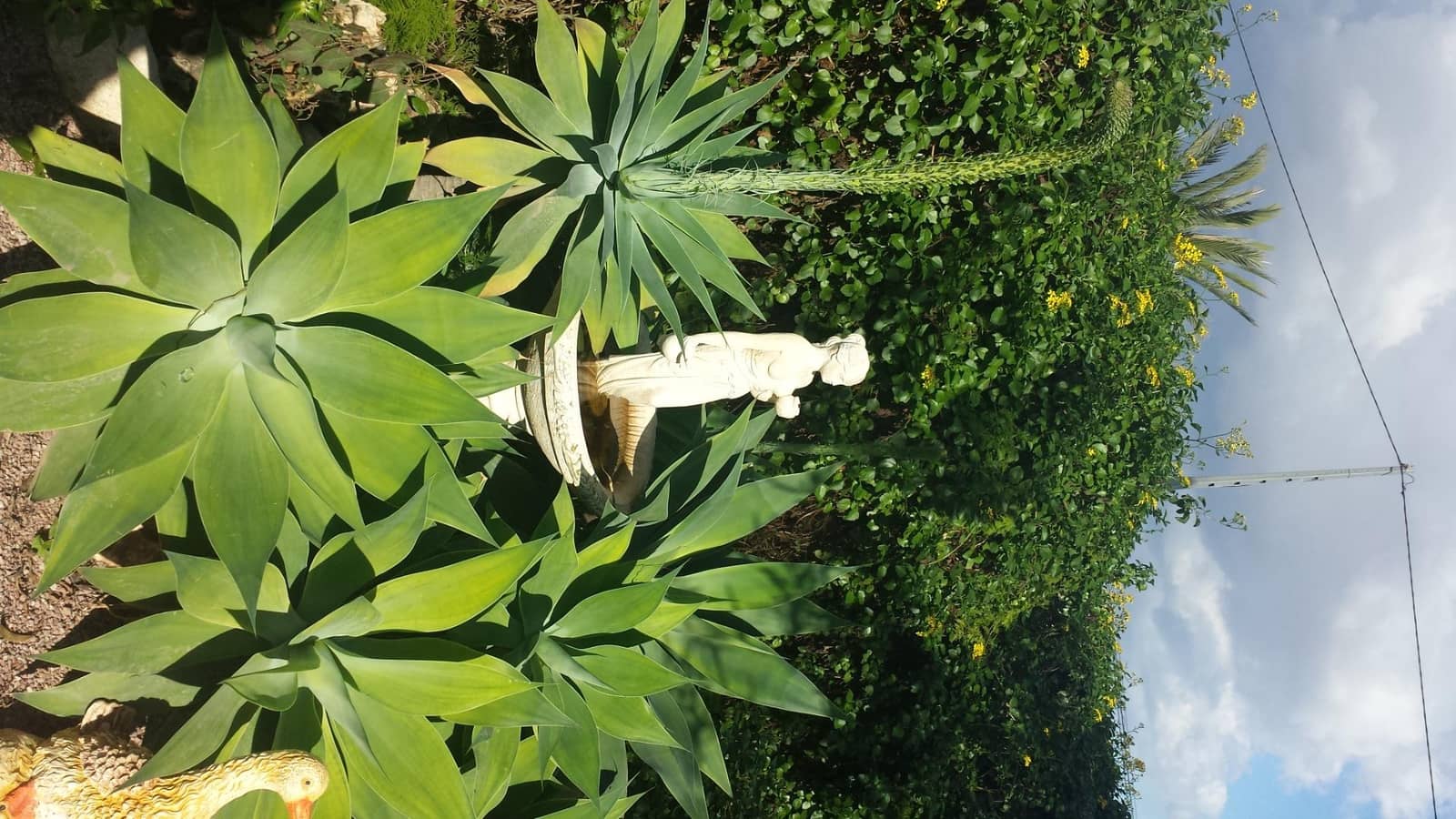 4 bedroom Villa for sale in Muchamiel / Mutxamel with pool garage - € 444,900 (Ref: 7735258)