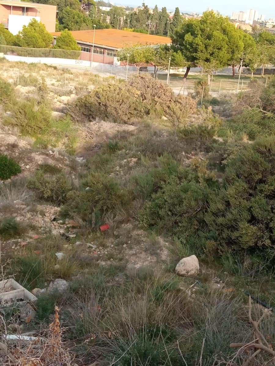 Area Edificabile in vendita in Muchamiel / Mutxamel - 215.000 € (Rif: 7857175)