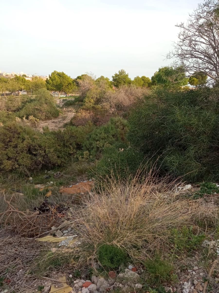 Area Edificabile in vendita in Muchamiel / Mutxamel - 215.000 € (Rif: 7857175)