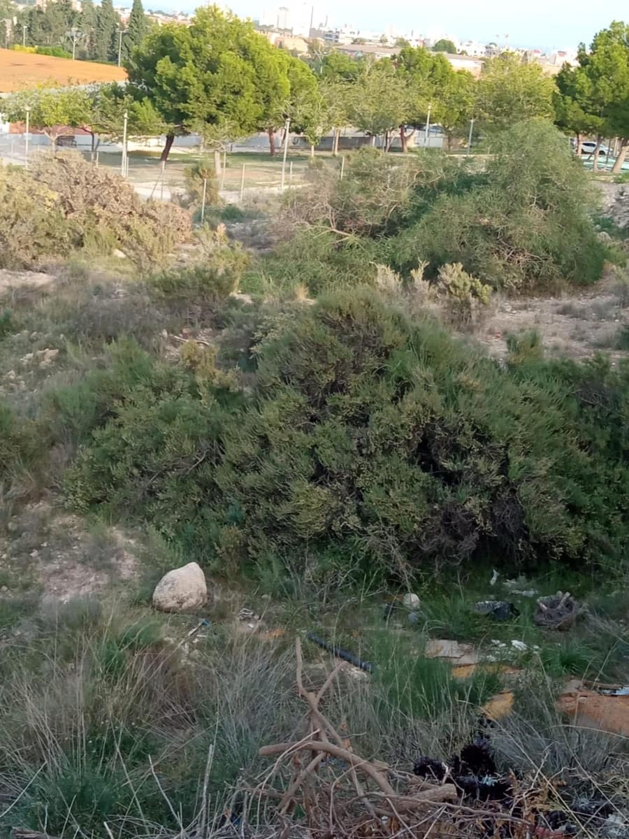 Area Edificabile in vendita in Muchamiel / Mutxamel - 215.000 € (Rif: 7857175)