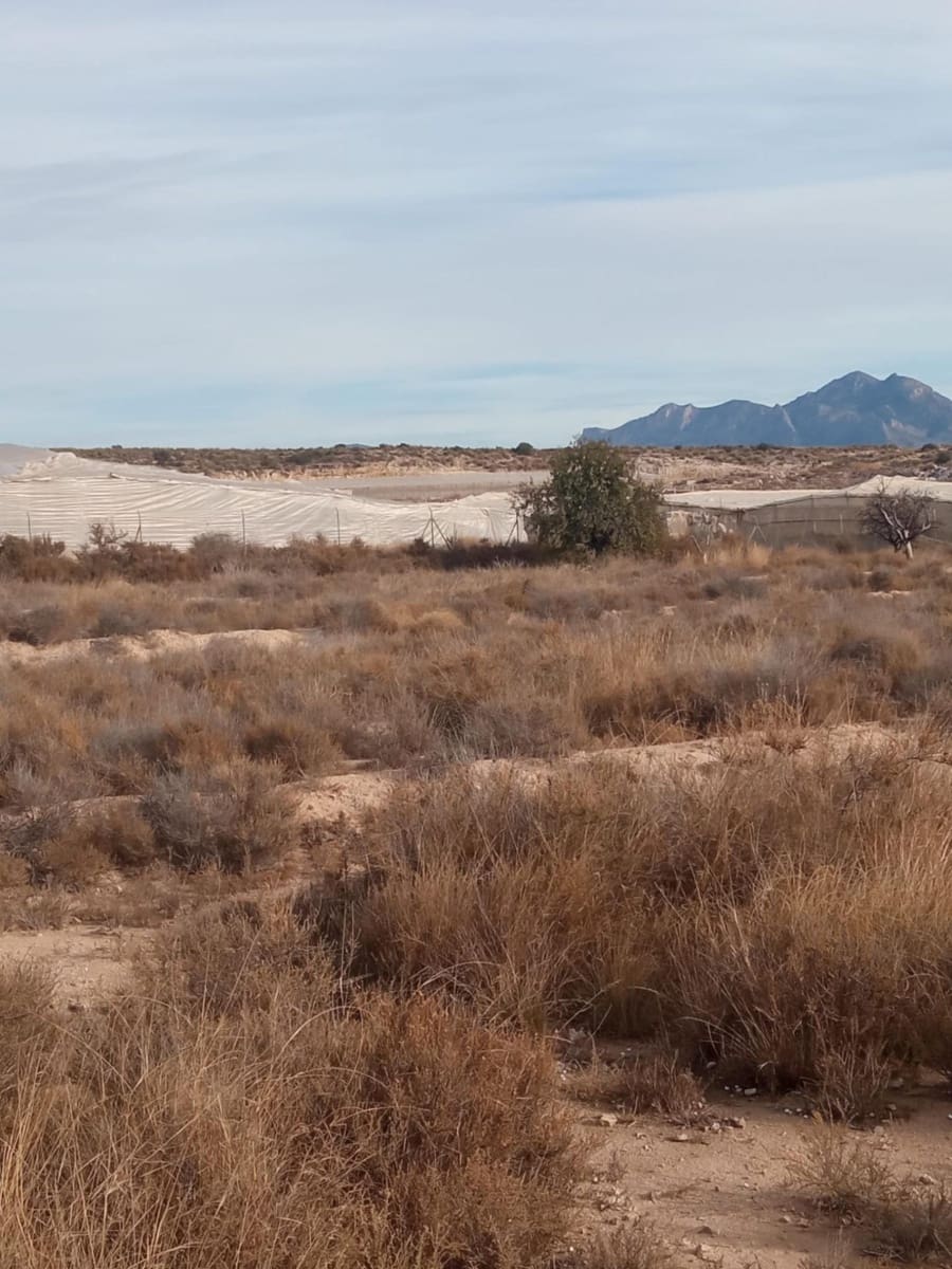 Grunde uden byggetilladelser til salg i Muchamiel / Mutxamel - € 54.000 (Ref: 8040774)