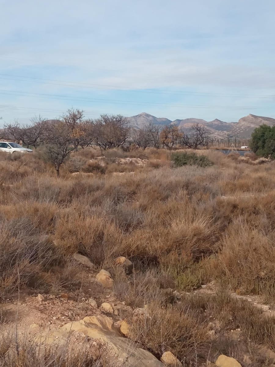 Grunde uden byggetilladelser til salg i Muchamiel / Mutxamel - € 54.000 (Ref: 8040774)