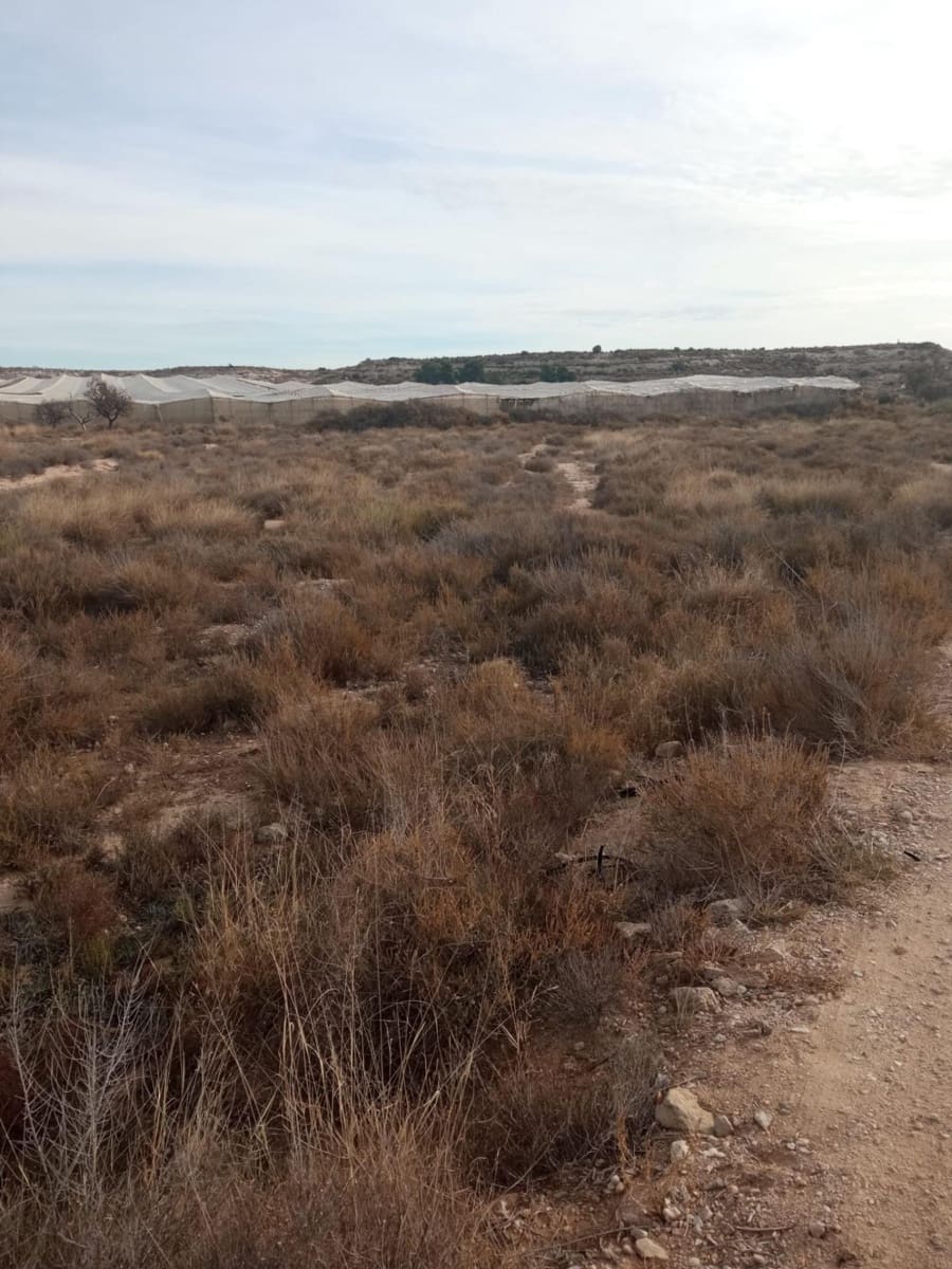 Grunde uden byggetilladelser til salg i Muchamiel / Mutxamel - € 54.000 (Ref: 8040774)