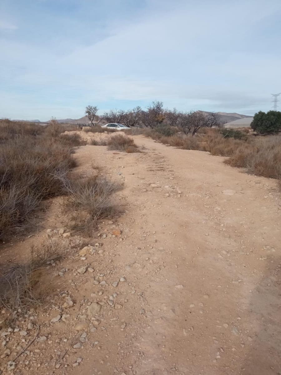 Grunde uden byggetilladelser til salg i Muchamiel / Mutxamel - € 54.000 (Ref: 8040774)