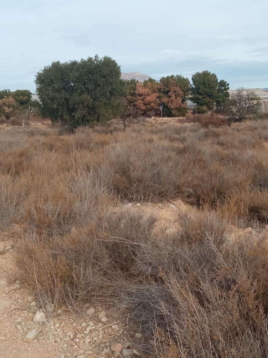 Grunde uden byggetilladelser til salg i Muchamiel / Mutxamel - € 54.000 (Ref: 8040774)