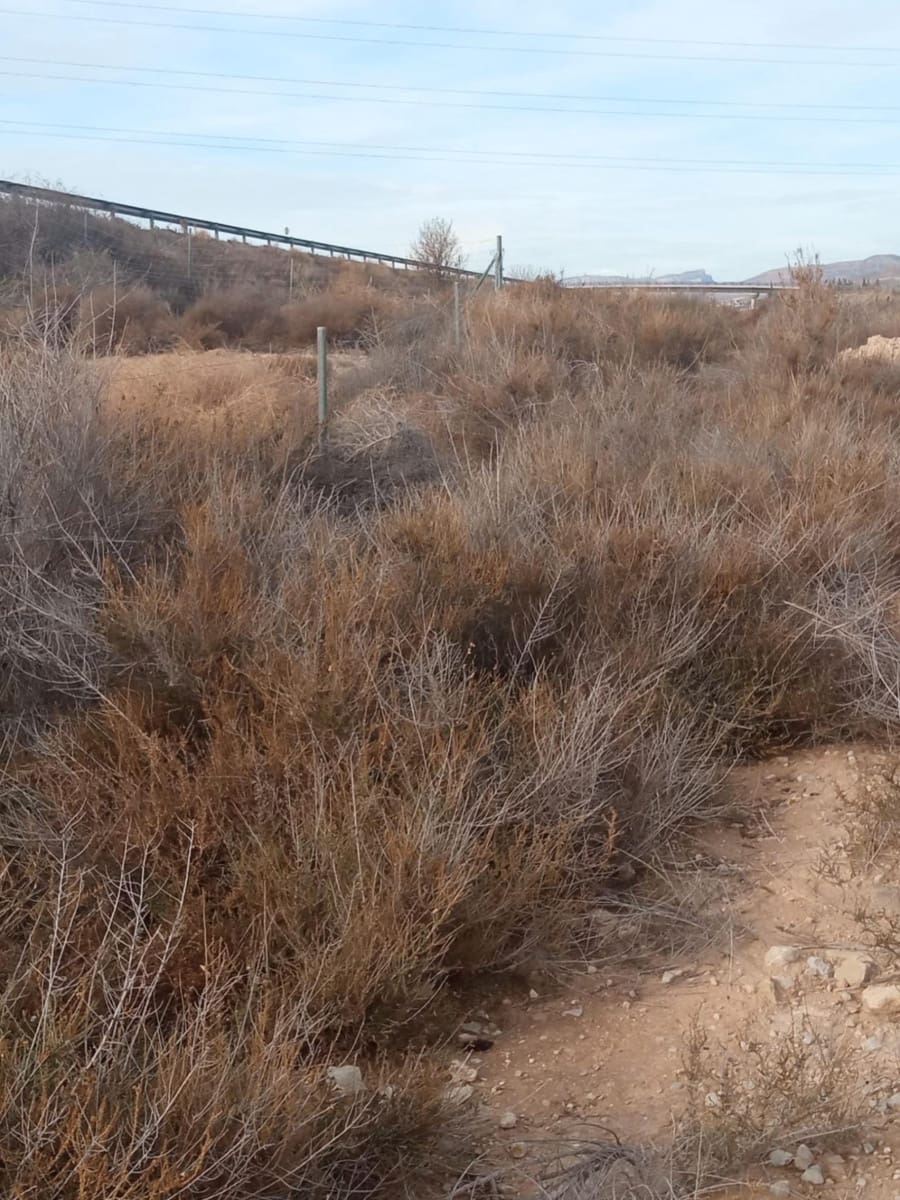 Grunde uden byggetilladelser til salg i Muchamiel / Mutxamel - € 54.000 (Ref: 8040774)