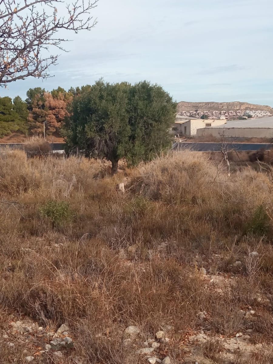 Grunde uden byggetilladelser til salg i Muchamiel / Mutxamel - € 54.000 (Ref: 8040774)