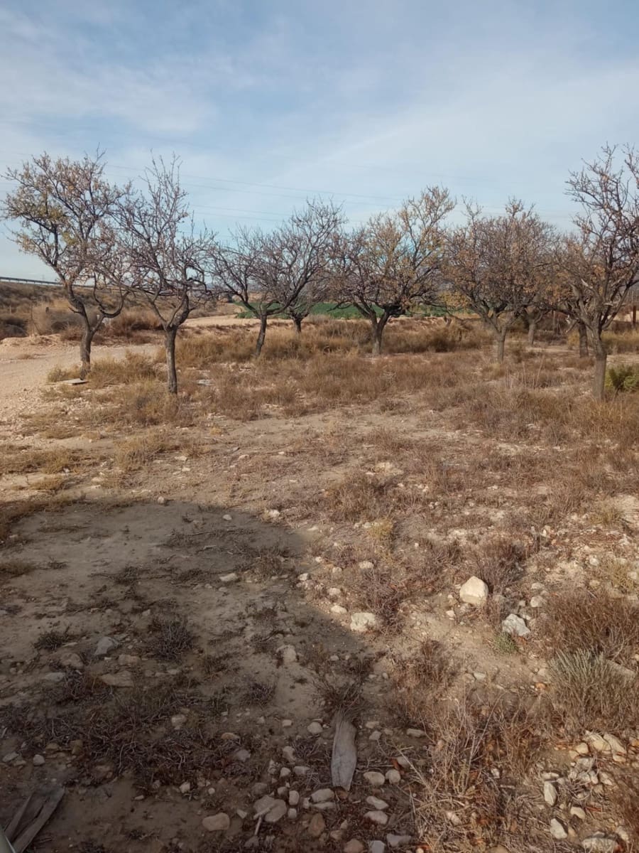 Grunde uden byggetilladelser til salg i Muchamiel / Mutxamel - € 54.000 (Ref: 8040774)