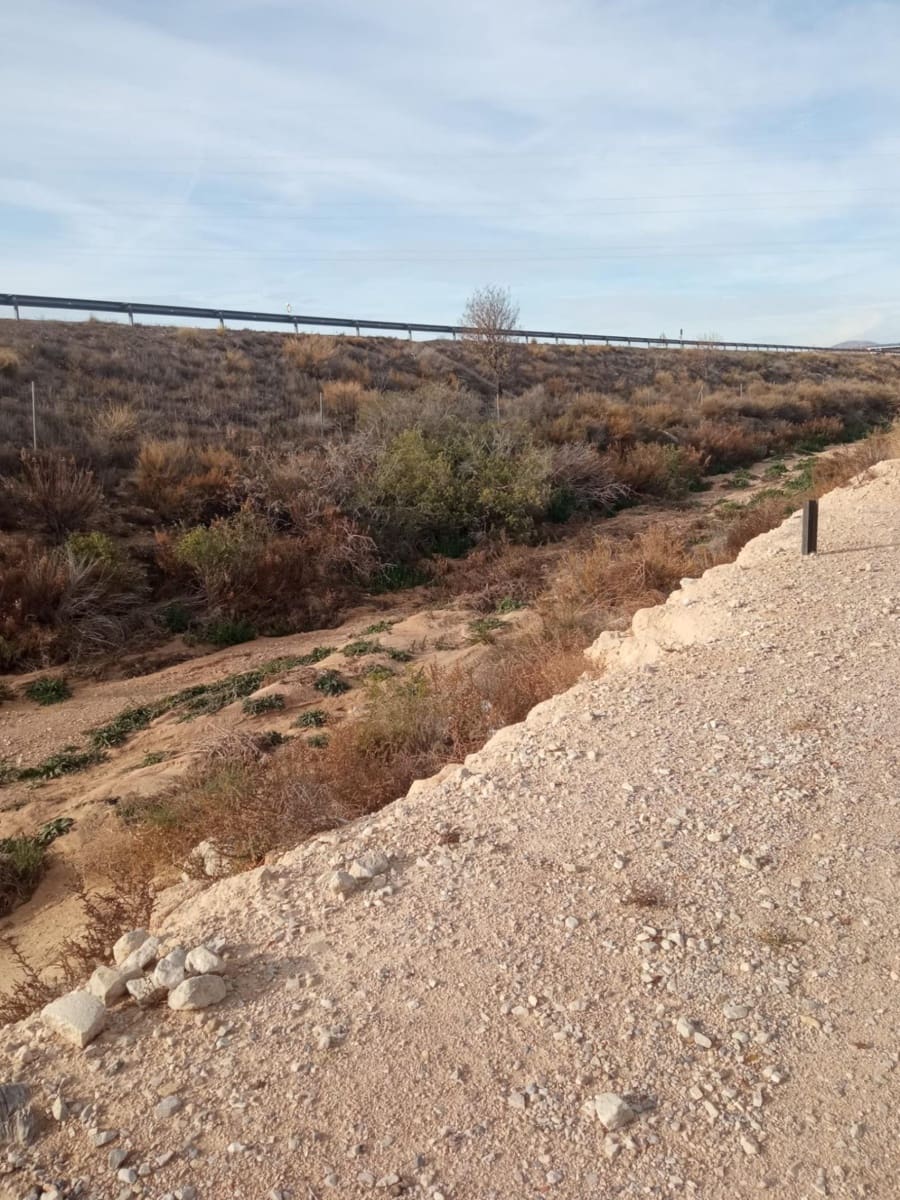 Grunde uden byggetilladelser til salg i Muchamiel / Mutxamel - € 54.000 (Ref: 8040774)