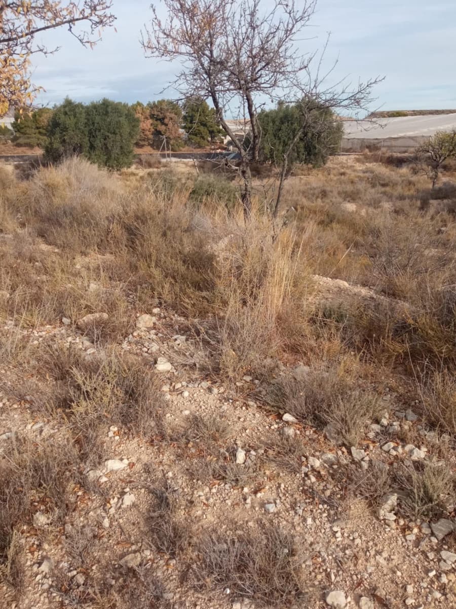 Grunde uden byggetilladelser til salg i Muchamiel / Mutxamel - € 54.000 (Ref: 8040774)