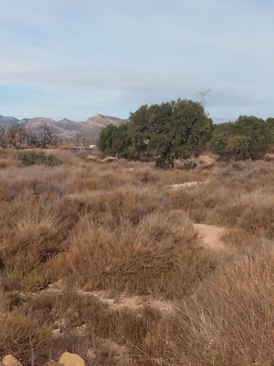 Grunde uden byggetilladelser til salg i Muchamiel / Mutxamel - € 54.000 (Ref: 8040774)