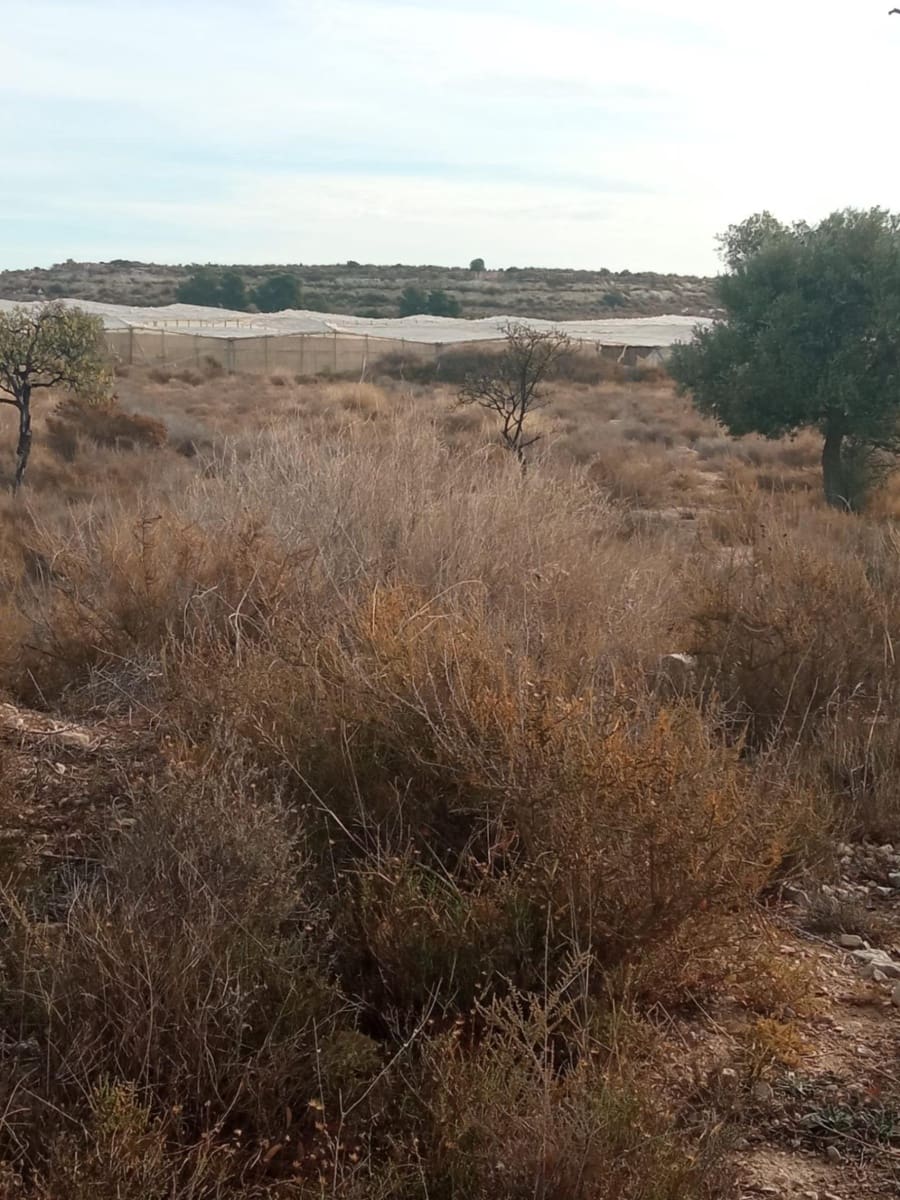 Grunde uden byggetilladelser til salg i Muchamiel / Mutxamel - € 54.000 (Ref: 8040774)