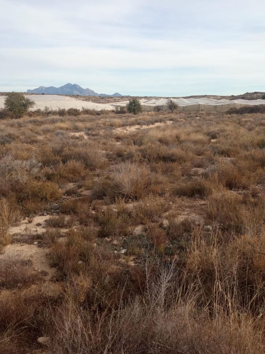 Grunde uden byggetilladelser til salg i Muchamiel / Mutxamel - € 54.000 (Ref: 8040774)