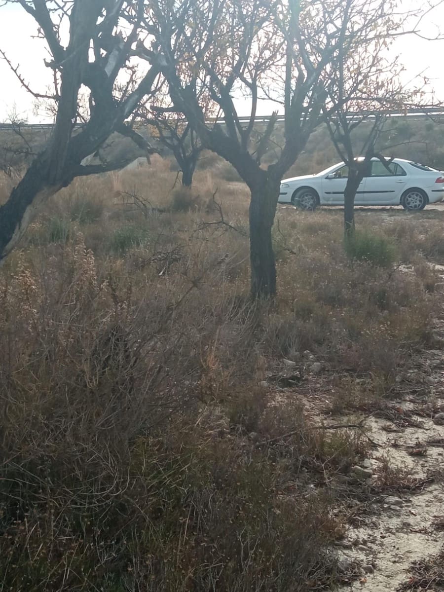 Grunde uden byggetilladelser til salg i Muchamiel / Mutxamel - € 54.000 (Ref: 8040774)