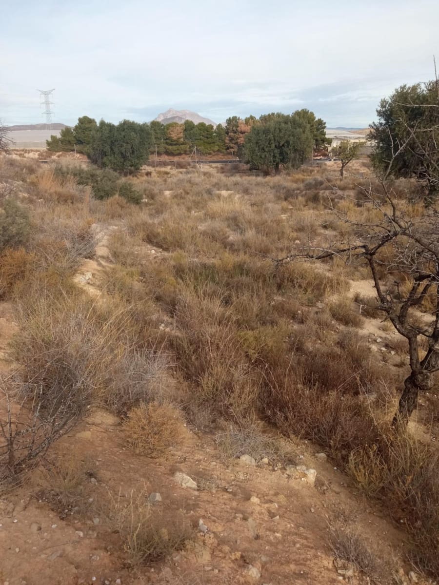 Grunde uden byggetilladelser til salg i Muchamiel / Mutxamel - € 54.000 (Ref: 8040774)