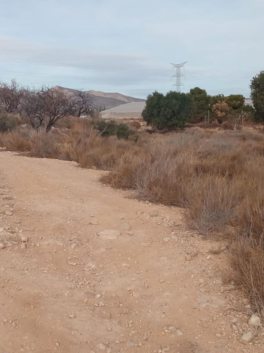 Grunde uden byggetilladelser til salg i Muchamiel / Mutxamel - € 54.000 (Ref: 8040774)