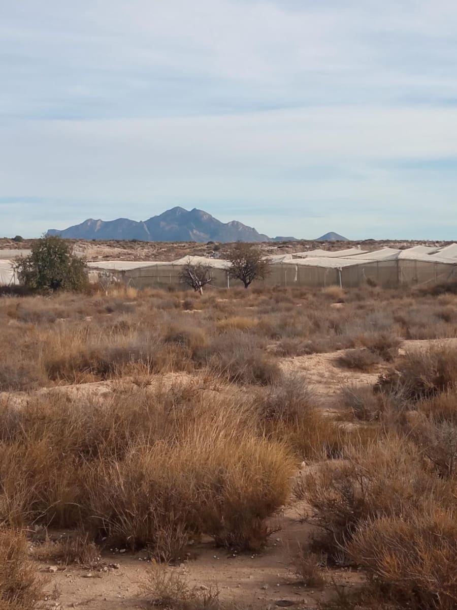 Grunde uden byggetilladelser til salg i Muchamiel / Mutxamel - € 54.000 (Ref: 8040774)