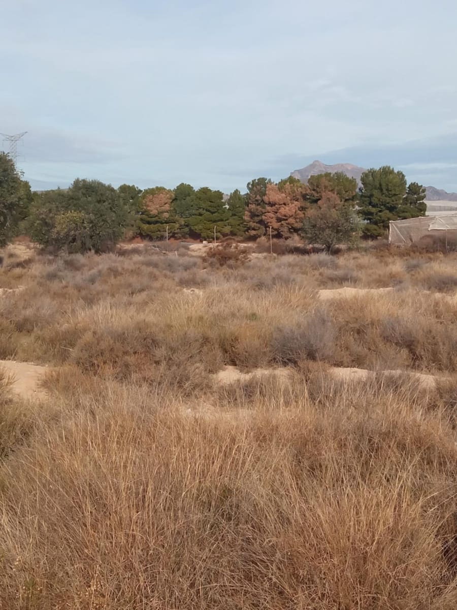 Grunde uden byggetilladelser til salg i Muchamiel / Mutxamel - € 54.000 (Ref: 8040774)