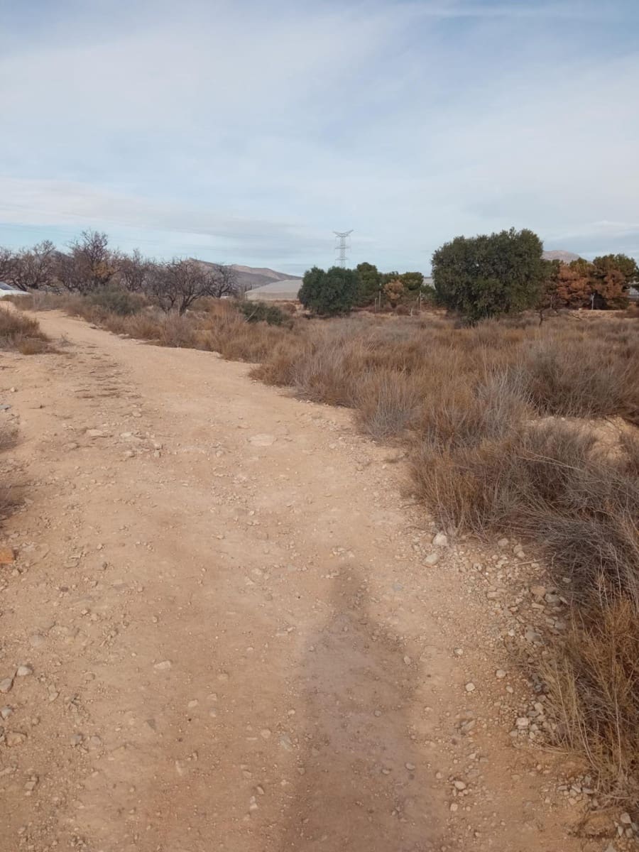 Grunde uden byggetilladelser til salg i Muchamiel / Mutxamel - € 54.000 (Ref: 8040774)