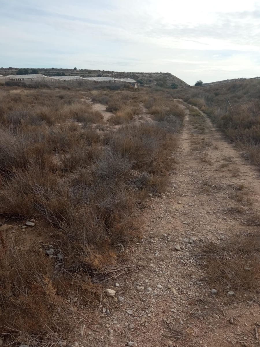 Grunde uden byggetilladelser til salg i Muchamiel / Mutxamel - € 54.000 (Ref: 8040774)