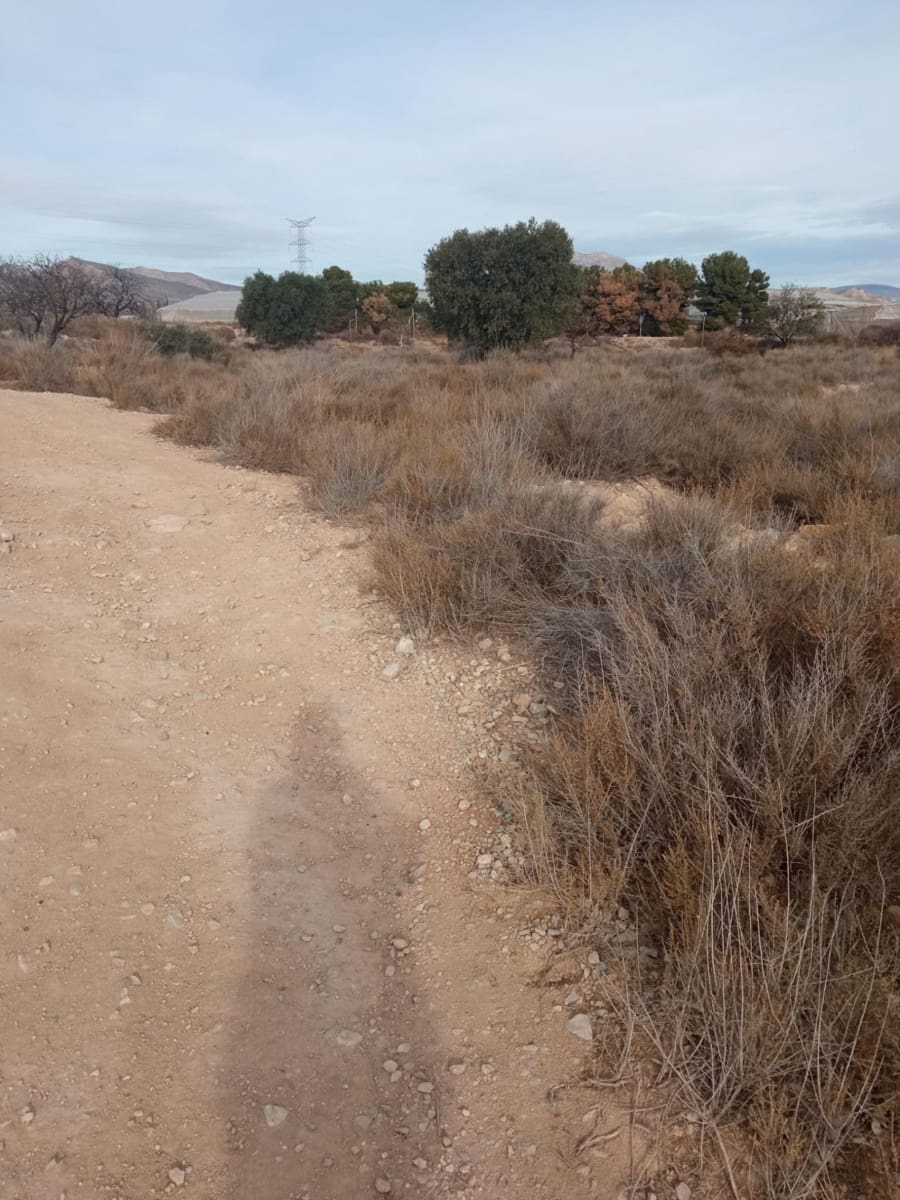 Grunde uden byggetilladelser til salg i Muchamiel / Mutxamel - € 54.000 (Ref: 8040774)