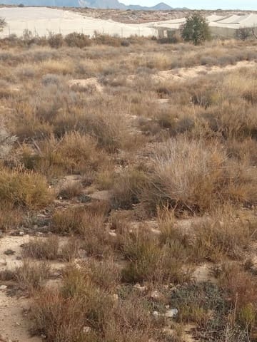 Teren niezagospodarowany na sprzedaż w Muchamiel / Mutxamel - 54 000 € (Ref: 8040774)