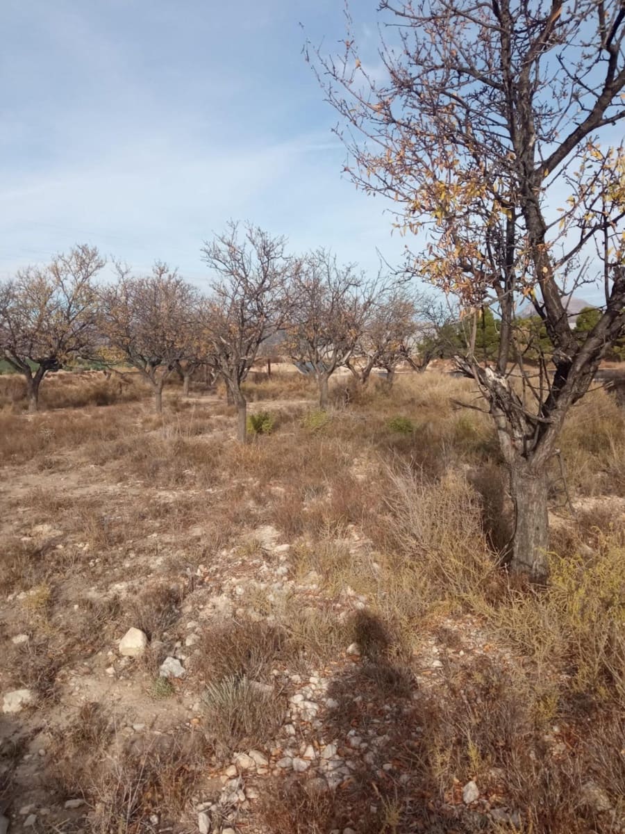 Grunde uden byggetilladelser til salg i Muchamiel / Mutxamel - € 54.000 (Ref: 8040774)