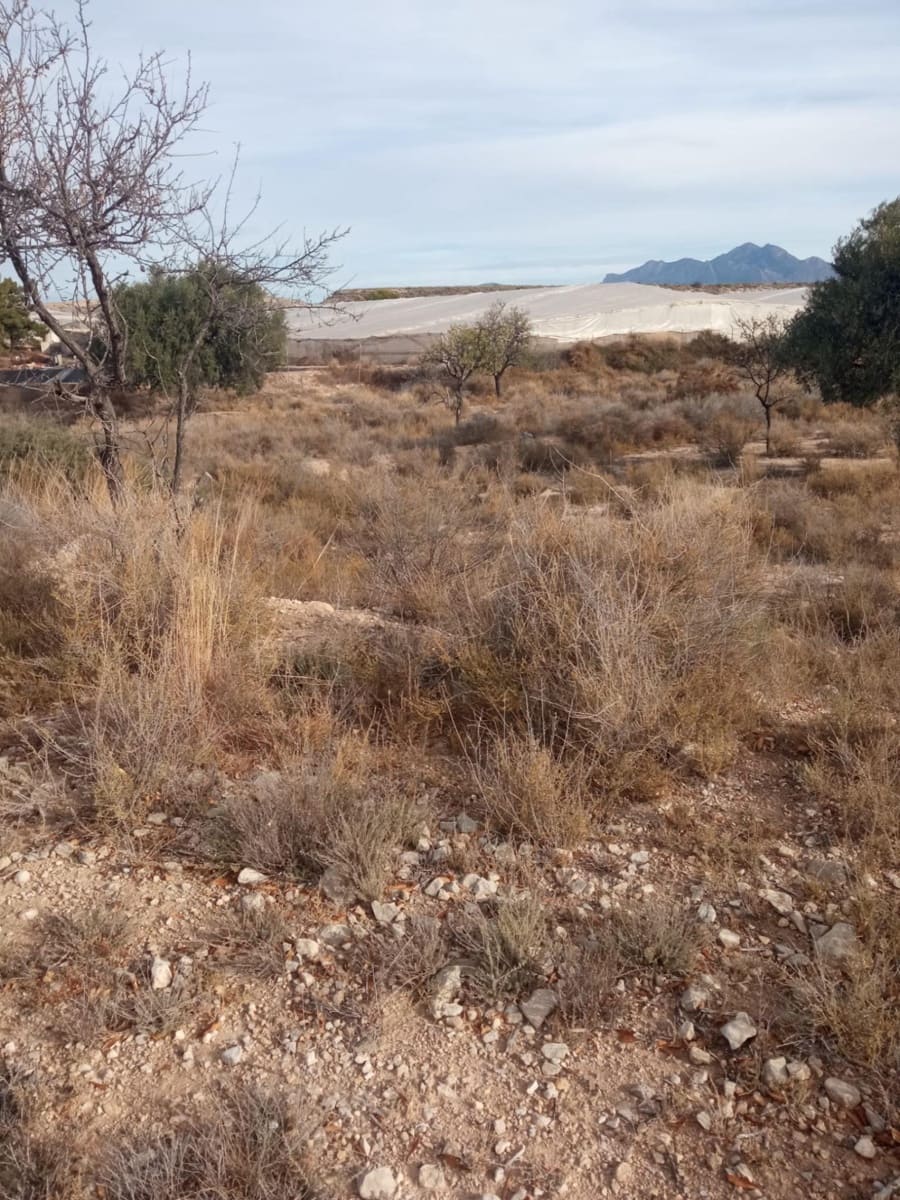 Grunde uden byggetilladelser til salg i Muchamiel / Mutxamel - € 54.000 (Ref: 8040774)