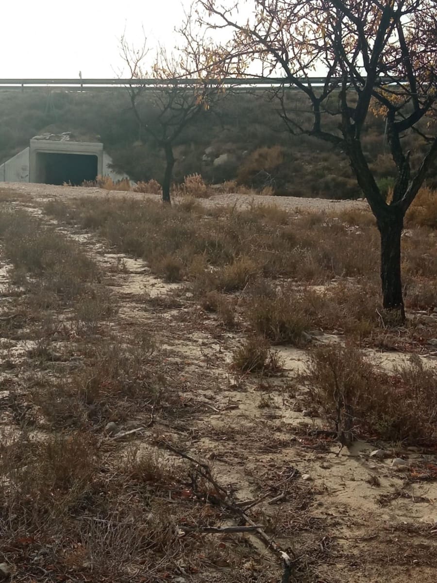 Grunde uden byggetilladelser til salg i Muchamiel / Mutxamel - € 54.000 (Ref: 8040774)