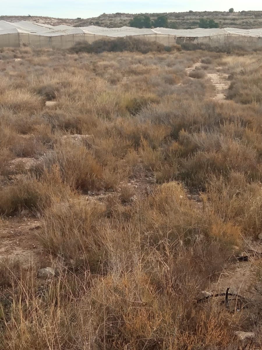 Grunde uden byggetilladelser til salg i Muchamiel / Mutxamel - € 54.000 (Ref: 8040774)