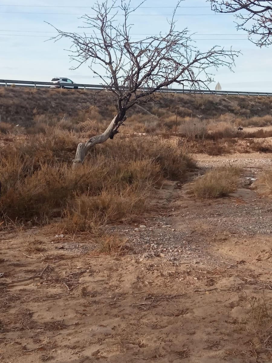 Grunde uden byggetilladelser til salg i Muchamiel / Mutxamel - € 54.000 (Ref: 8040774)