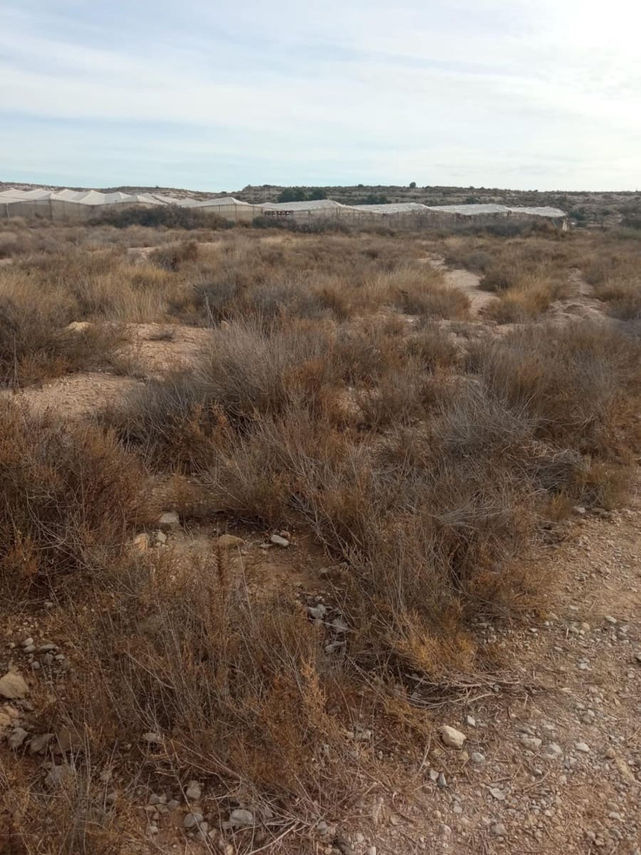 Grunde uden byggetilladelser til salg i Muchamiel / Mutxamel - € 54.000 (Ref: 8040774)