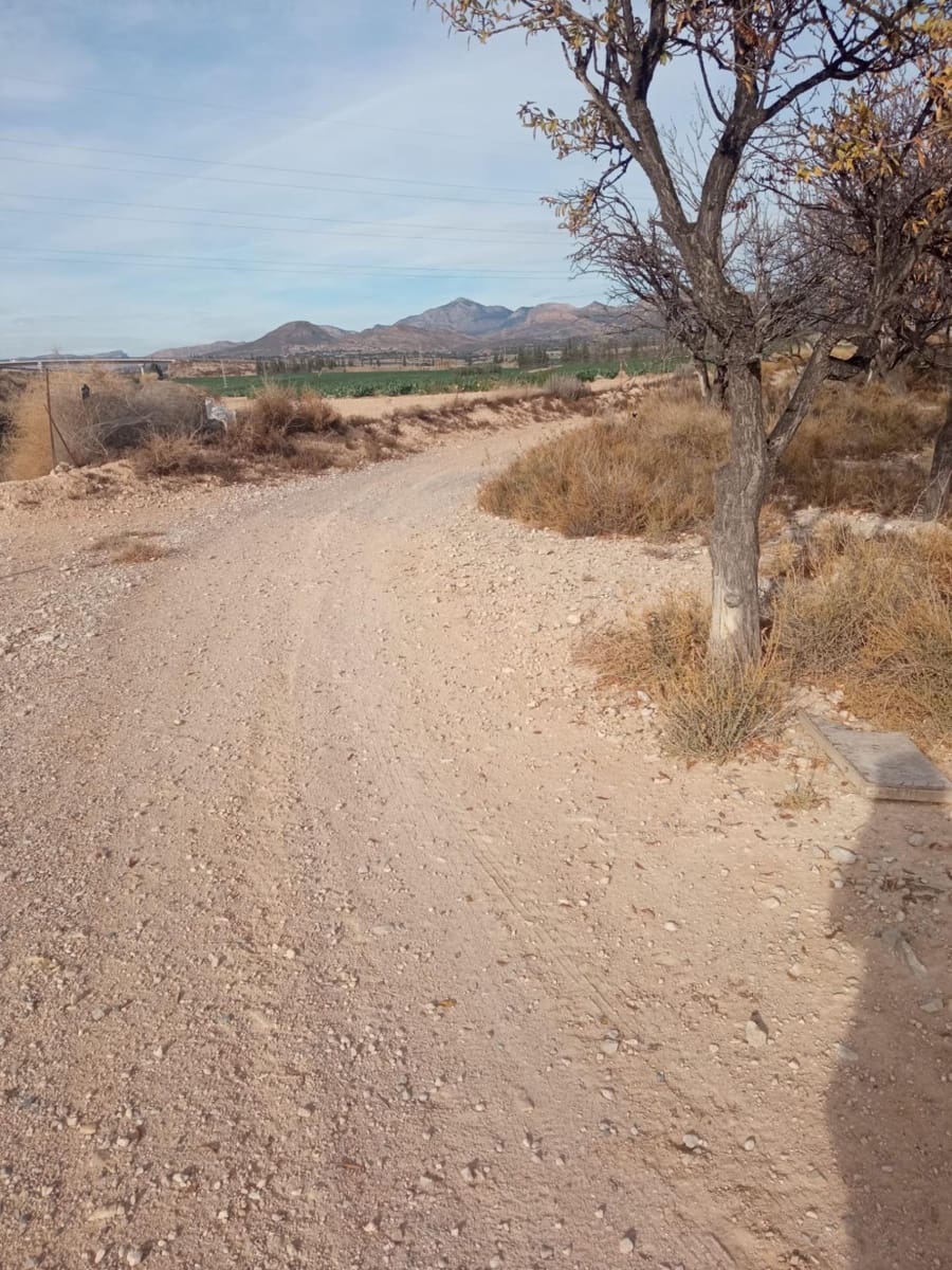 Grunde uden byggetilladelser til salg i Muchamiel / Mutxamel - € 54.000 (Ref: 8040774)