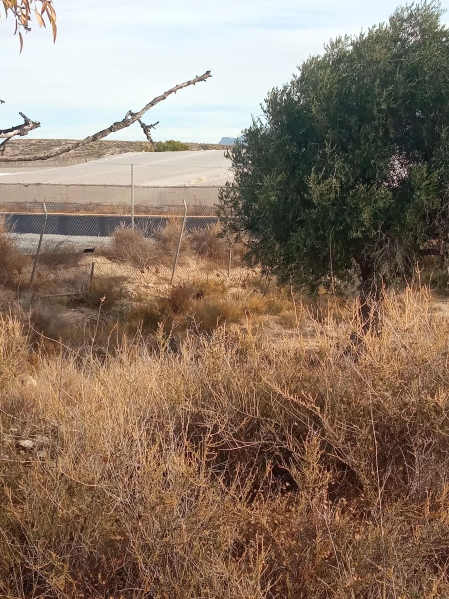 Grunde uden byggetilladelser til salg i Muchamiel / Mutxamel - € 54.000 (Ref: 8040774)