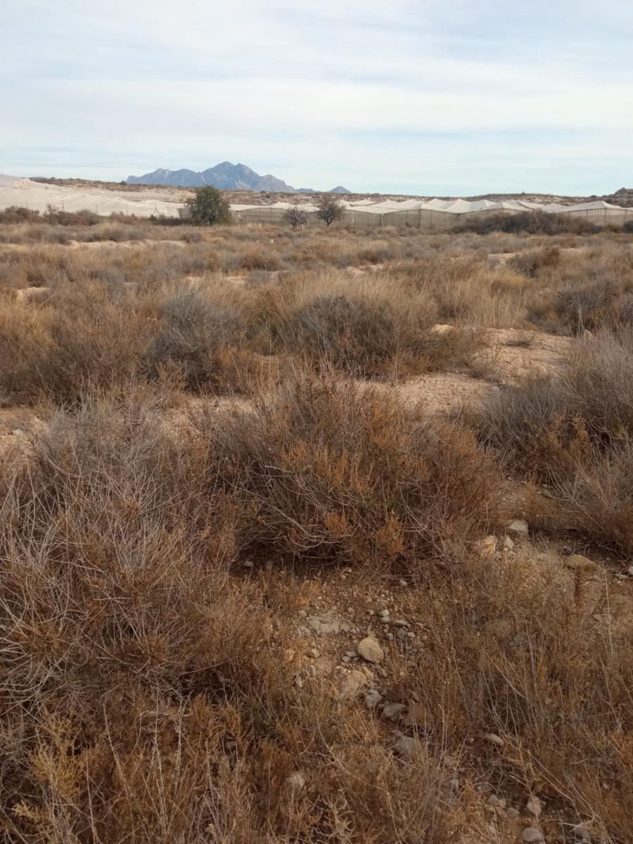 Grunde uden byggetilladelser til salg i Muchamiel / Mutxamel - € 54.000 (Ref: 8040774)