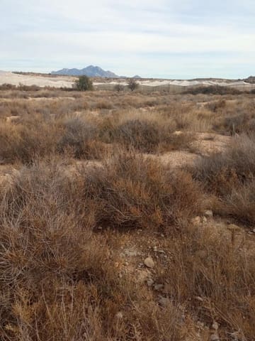 Teren niezagospodarowany na sprzedaż w Muchamiel / Mutxamel - 54 000 € (Ref: 8040774)