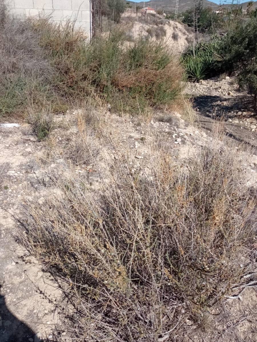 Byggetomt til salgs i Muchamiel / Mutxamel - € 66 500 (Ref: 8270621)