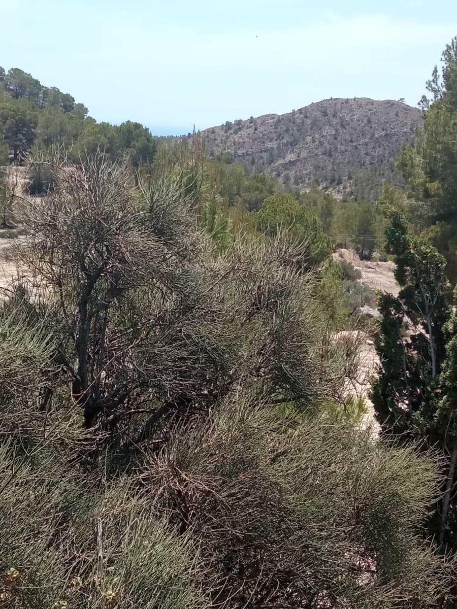 6 chambre Villa/Maison à vendre à Orxeta avec piscine garage - 600 000 € (Ref: 8347945)